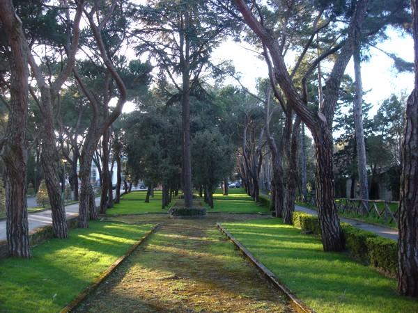 Dopo le Giornate di Primavera torna il FAI allo Zonchello Dopo le Giornate di Primavera torna il FAI allo Zonchello