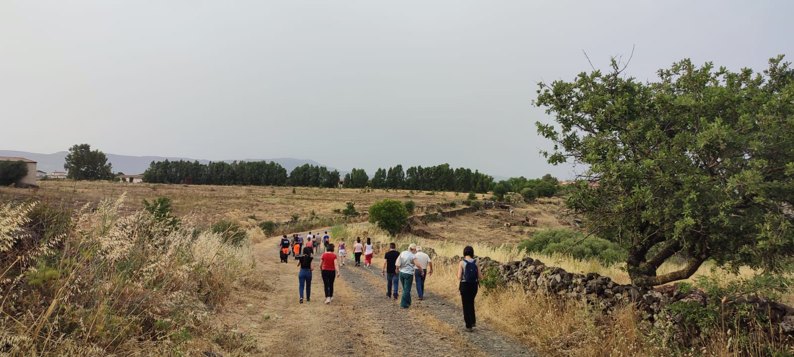 Noragugume. Successo per la prima uscita di “Caminadores” Noragugume. Successo per la prima uscita di “Caminadores”