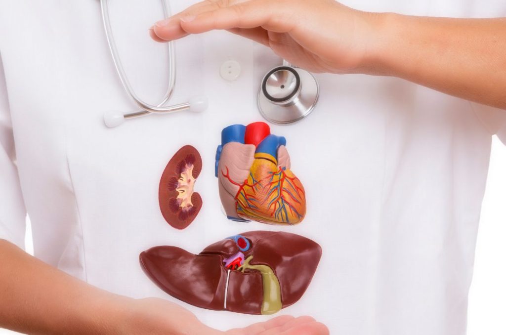 Nuova donazione multiorgano all’Ospedale San Francesco di Nuoro
