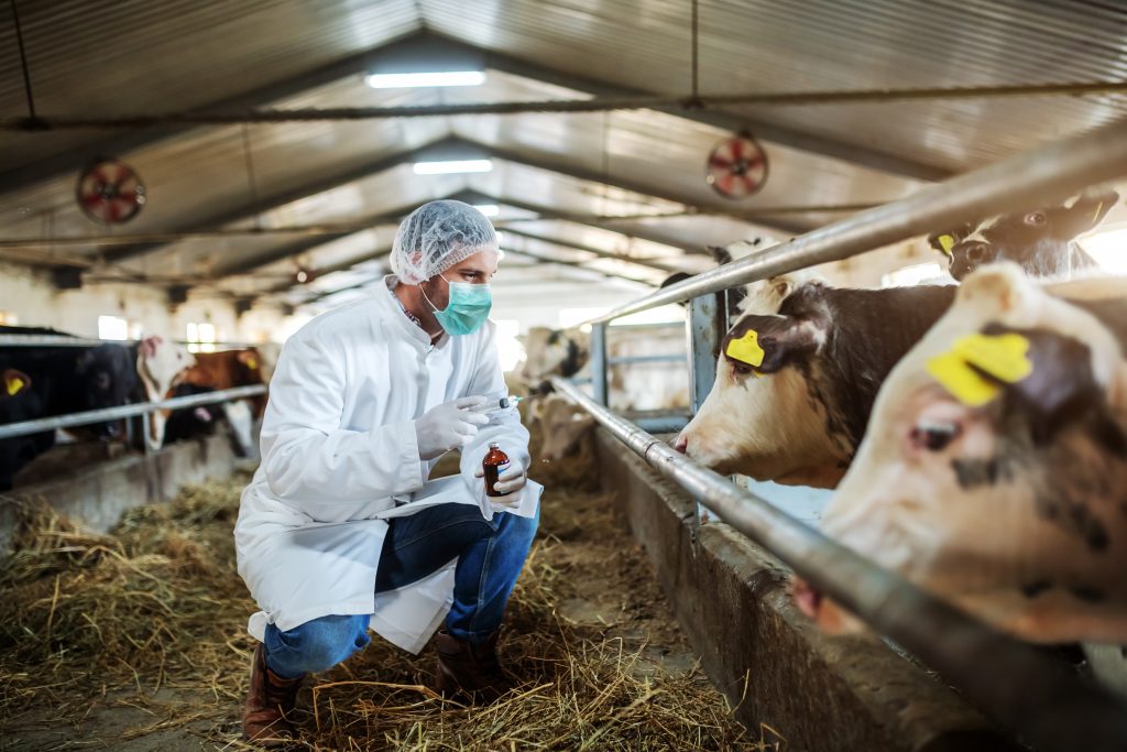 Prevenzione: oltre 3.600 controlli su filiera alimentare e zootecnica
